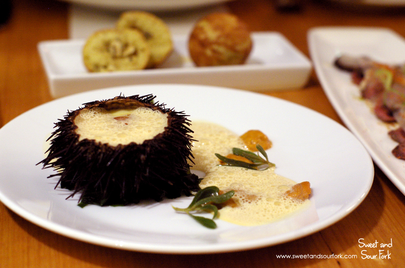 Hand-Dived Sea Urchin